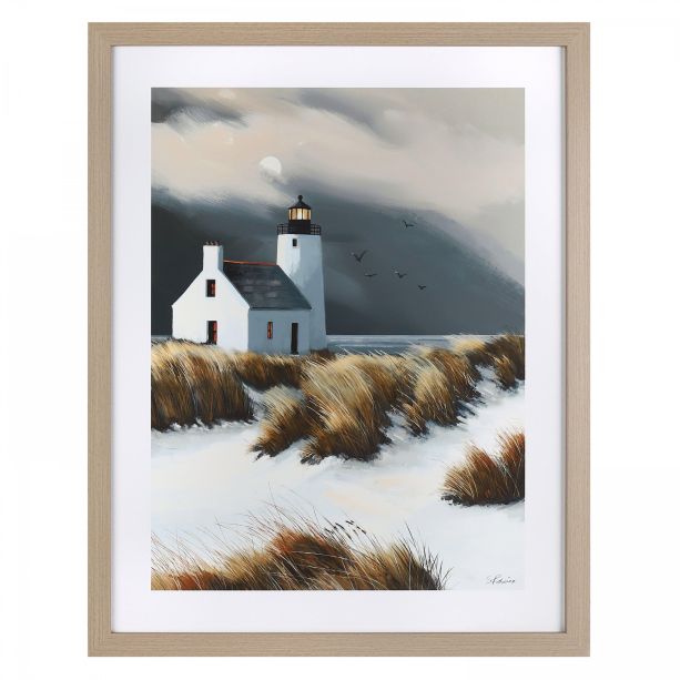 Beyond the Dunes Framed Art  by Gallery Living | Style Our Home