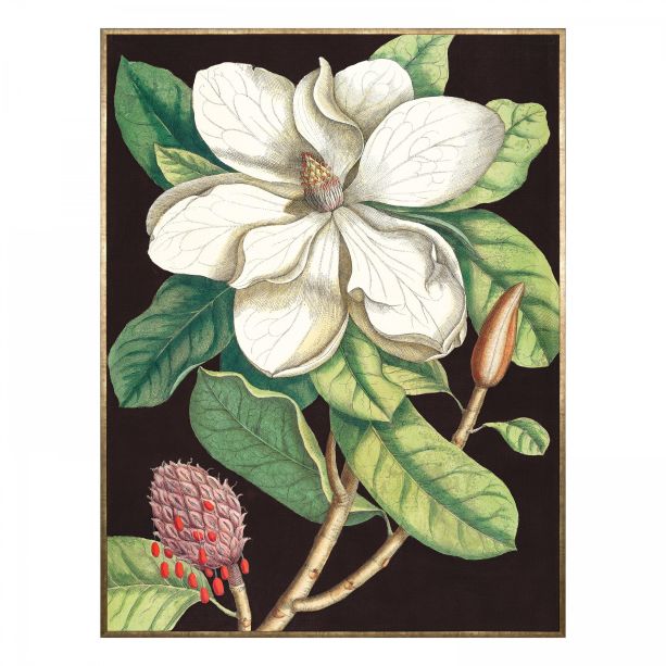Laurel Tree Framed Canvas  by Gallery Living | Style Our Home