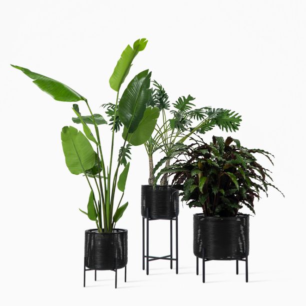 Ivo plant stand by Vincent Sheppard | Style Our Home