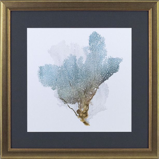 Delicate Coral iii by Camelot Pictures | Style Our Home