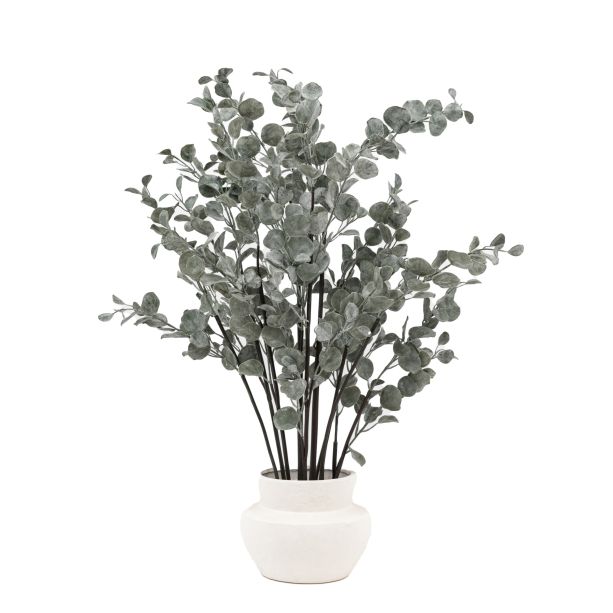 Faux Eucalyptus in Ceramic Pot Ivory by Gallery Living | Style Our Home