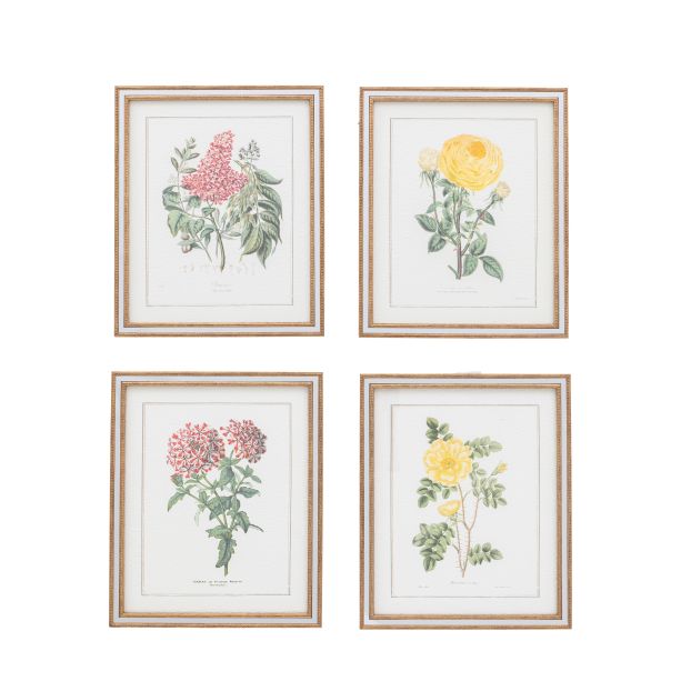 Floral Quartet Framed Art Set of 4 by Gallery Living | Style Our Home