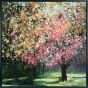 Blush Copse by Camelot Pictures | Style Our Home