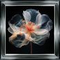 Pink Translucent Flower II by Camelot Pictures | Style Our Home