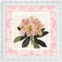 Pink Botanical II by Camelot Pictures | Style Our Home