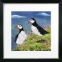 At the Coast 2 – Cliff Top Puffins by Camelot Pictures | Style Our Home