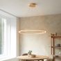 Statano 1 Pendant Light French Gold Finish by Gallary Living | Style Our Home