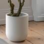 Faux Olivano Tree in White Pot