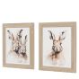 Woodano Whiskers Framed Canvas Set of 2 by Gallery Living | Style Our Home