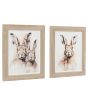 Woodano Whiskers Framed Canvas Set of 2 by Gallery Living | Style Our Home