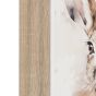 Woodano Whiskers Framed Canvas Set of 2