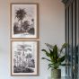 Colano Sketches Framed Art Set of 2 by Gallery Living | Style Our Home