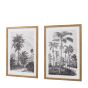 Colano Sketches Framed Art Set of 2