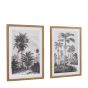 Colano Sketches Framed Art Set of 2
