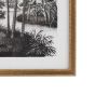 Colano Sketches Framed Art Set of 2
