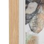 Prosano Framed Canvas