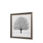 Silano Beauty Framed Art
