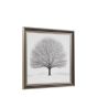 Silano Beauty Framed Art