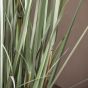 Pottano Grass w/9 Heads Green,Russet