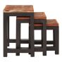 Artivora Set of Three Acacia Wood and Metal Nesting Tables