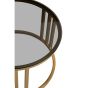 Alvora Set of 2 Gold Base and Glass Top Round Nesting Coffee Tables