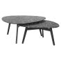 Riley Coffee Table Set of 2 by Richmond Interiors | Style Our Home