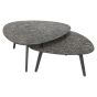 Riley Coffee Table Set of 2