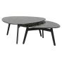 Riley Coffee Table Set of 2