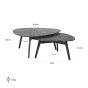 Riley Coffee Table Set of 2