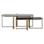 Sterling Coffee Table Set of 2