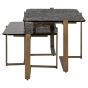 Sterling Coffee Table Set of 2