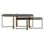 Sterling Coffee Table Set of 2