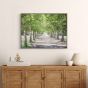 Avenue of Trees Framed Canvas  by Gallery Living | Style Our Home