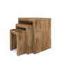 Mango Edge Nest of Tables