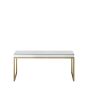 Pippard Champagne Coffee Table  - Style Our Home