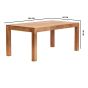 Karoo Light Mango Large Dining Table