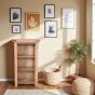 Dominion Small Bookcase / DVD Rack