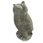 Small Owl ( Box of 4) by Monologue | Style Our Home