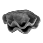 Set of 3 Clam Shells by Monologue | Style Our Home