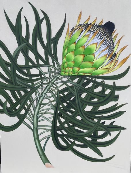 Protea by Monologue | Style Our Home