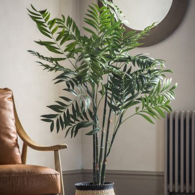 Arecano Palm Tree Large