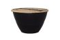 Natural Crest Trunk Box by Jali Editions  | Style Our Home