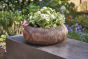 Flores - Whorl Bowl by Monologue | Style Our Home