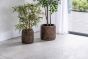 Flores Whorl Pots - Set of 2