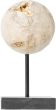 Ball Cheese Stone Object