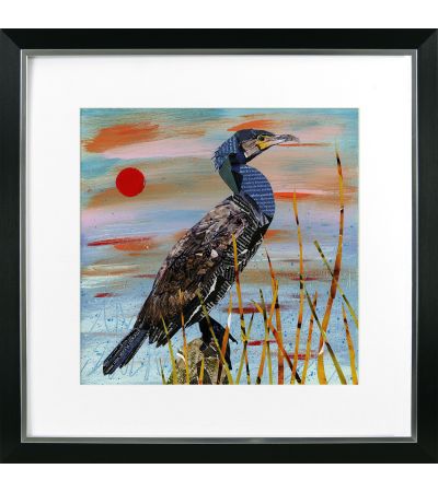 At the Coast 2 – Statuesque Cormorant by Camelot Pictures | Style Our Home