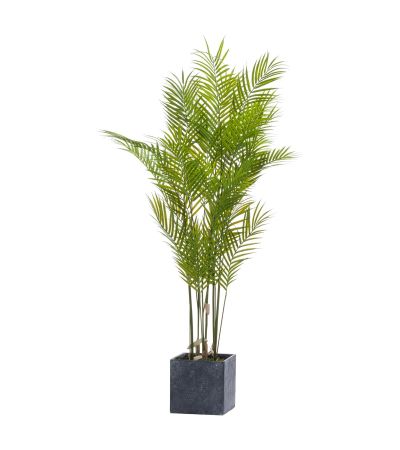 Large Paradise Potted Palm by Hill Interiors | Style Our Home