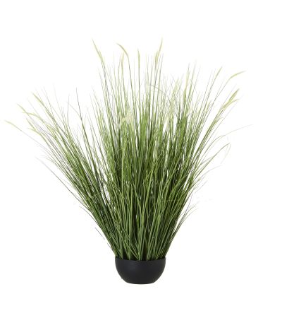 Large Onion Grass Plant In Pot by Hill Interiors | Style Our Home  