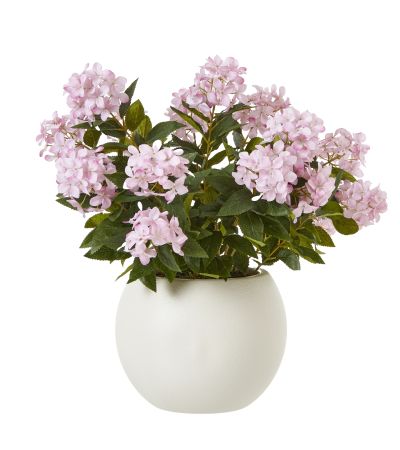 Large Pink Hydrangea Plant In Pot by Hill Interiors | Style Our Home  