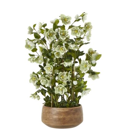 Large Green Hellebore in Taupe Pot by Hill Interiors | Style Our Home  